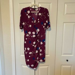 Banana Republic Women’s Maroon Floral Dress
